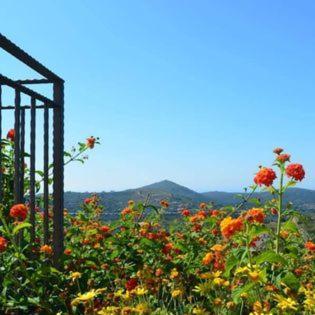 Villa Residenza La Mannara Itri Esterno foto